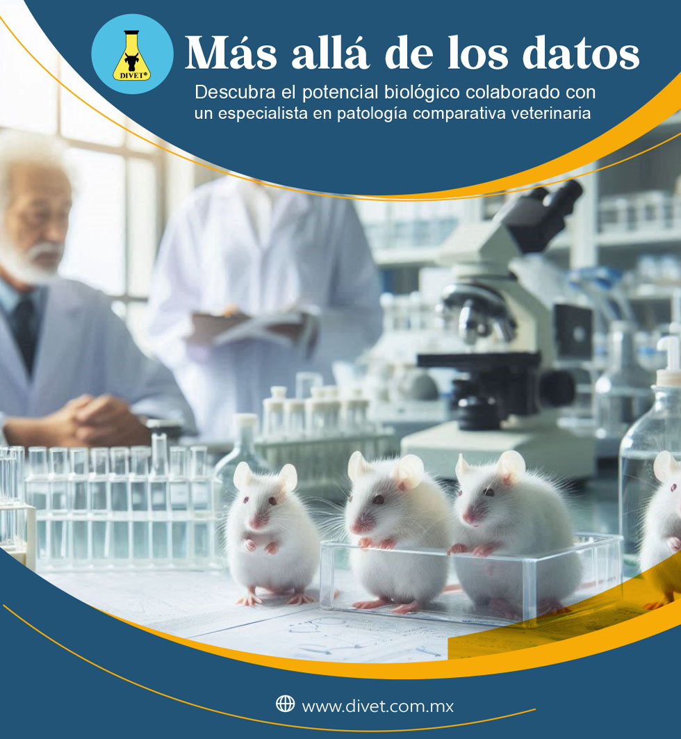 Imagen de investigación